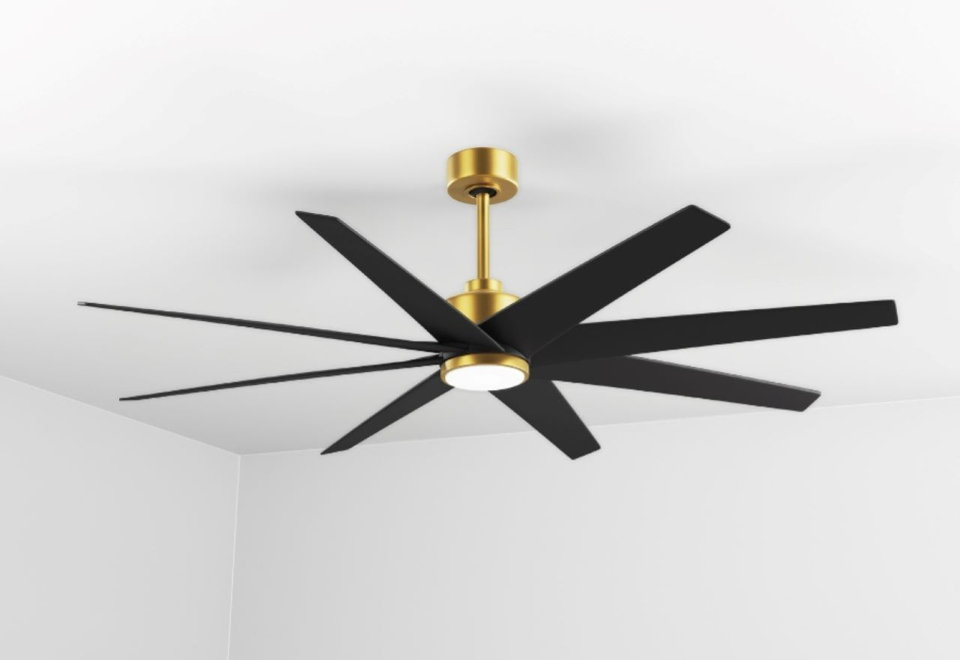 All Fans