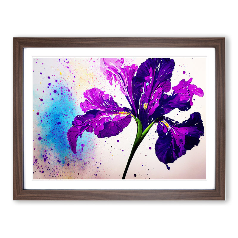 Iris Flower Splash Vol.5 Abstract - Single Picture Frame Print, 34cm H x 46cm W x 2cm D, Walnut Framed