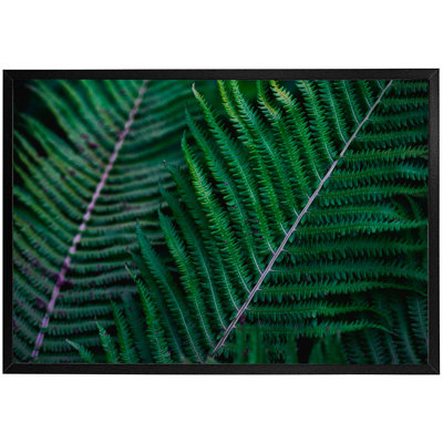 Ekalaka Single Picture Frame Print