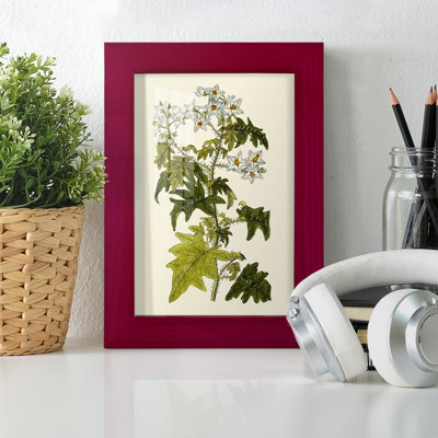 Olive Greenery VI - Single Picture Frame Print