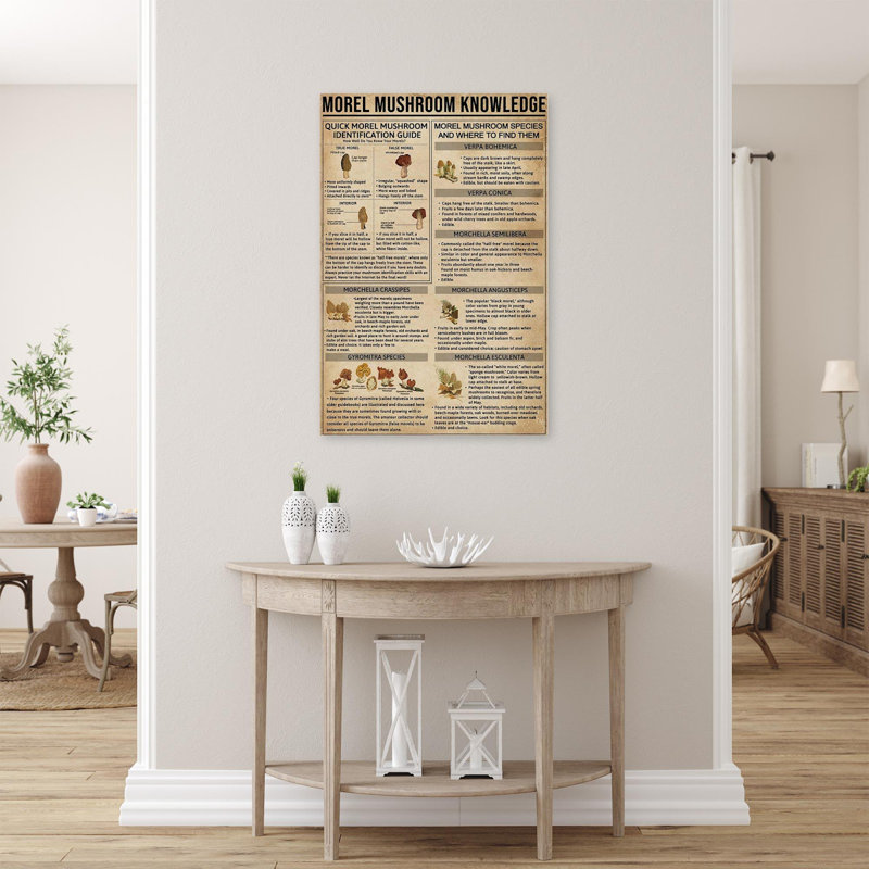 Morel - Connaissances sur champignon - impression sur toile tendue, H 14 po x l 11 po x P 1,25 po