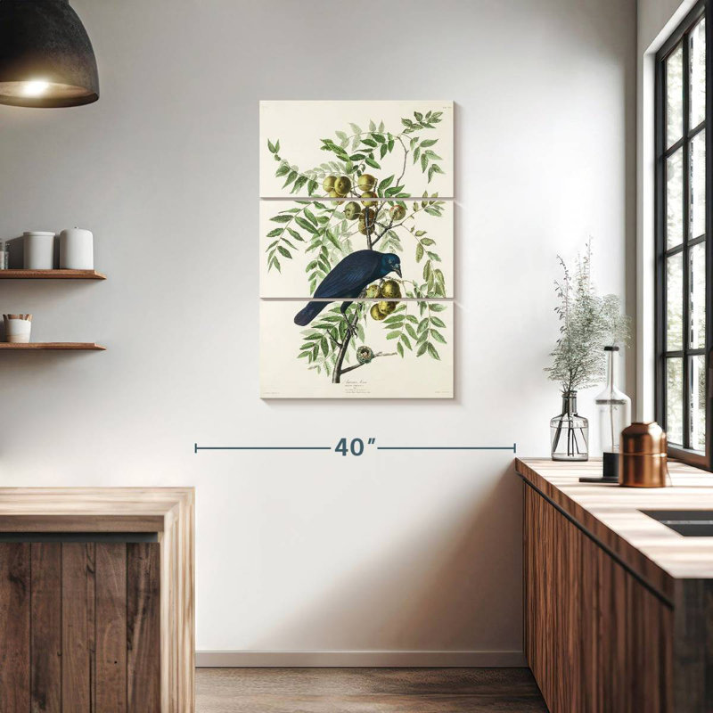 Brampt American Crow, 38" H x 24" W