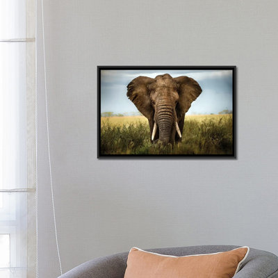 «Encounters In Serengeti», reproduction de photo horizontale sur toile tendue