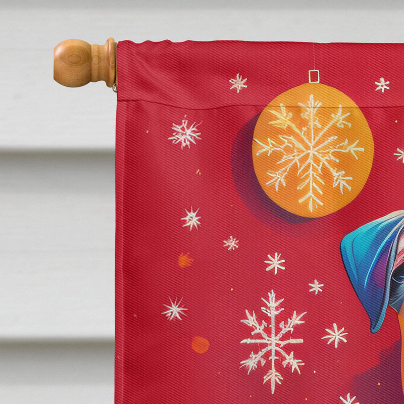 Double Sided 40'' H x 28'' W Polyester Christmas House Flag