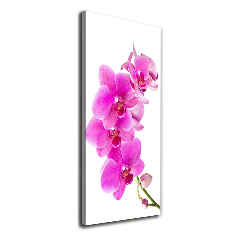 Pink Orchid - Wrapped Canvas Print