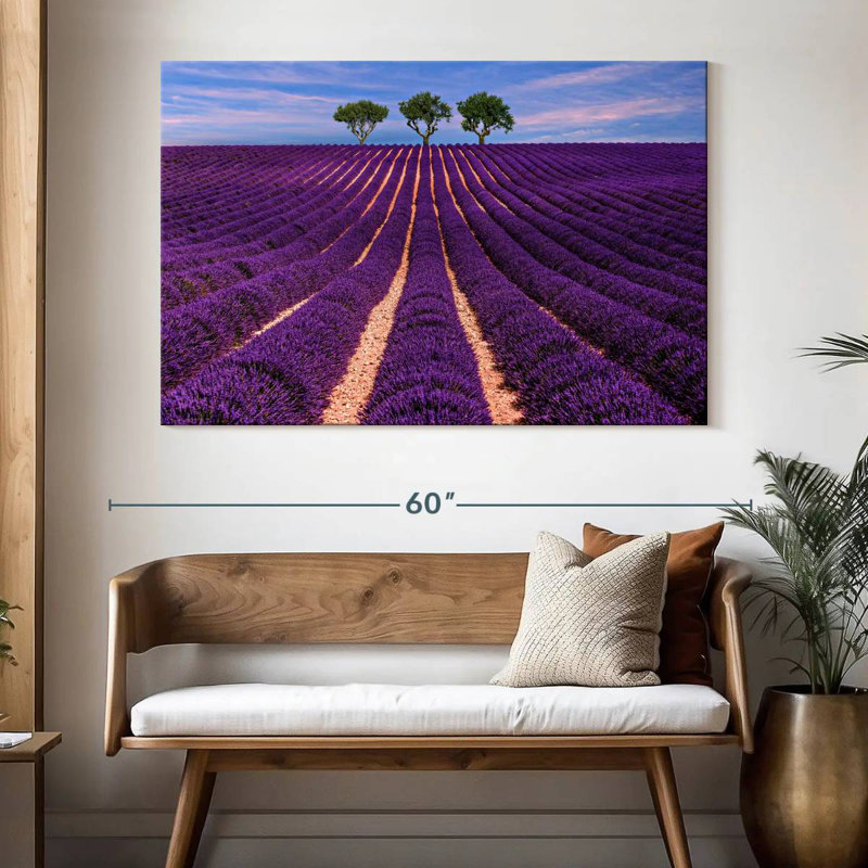 Rangées de lavande Alvord Provence Summer, H 34 po x l 51 po