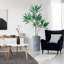 66 plantes-97701038