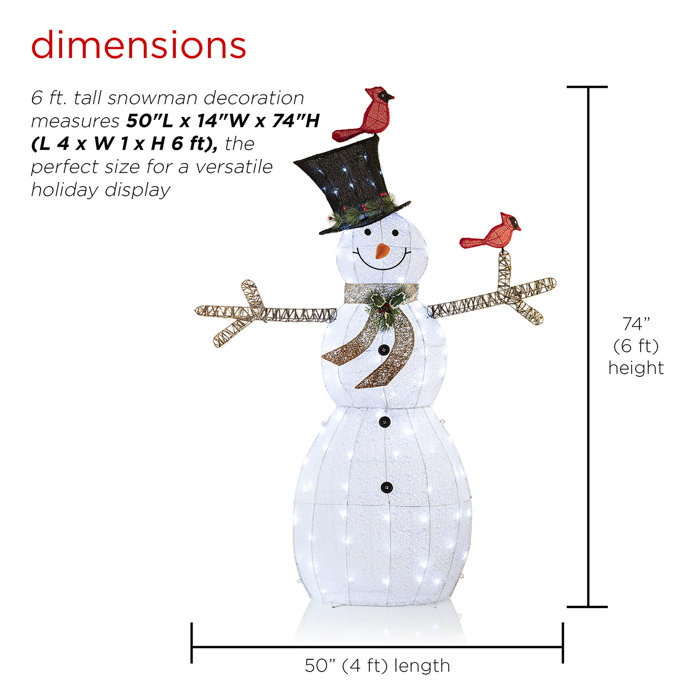 The Holiday Aisle® Snowman Lighted Display & Reviews | Wayfair