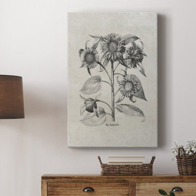 Motif floral rétro vintage CCXXX - galerie Cavas