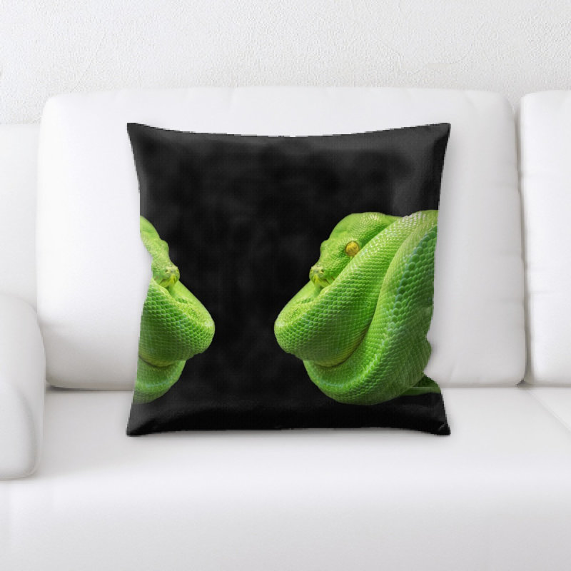 Coussin python