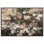 Tranquil Rose Garden Shabby Elegance Floral Floral Rustic French Country
