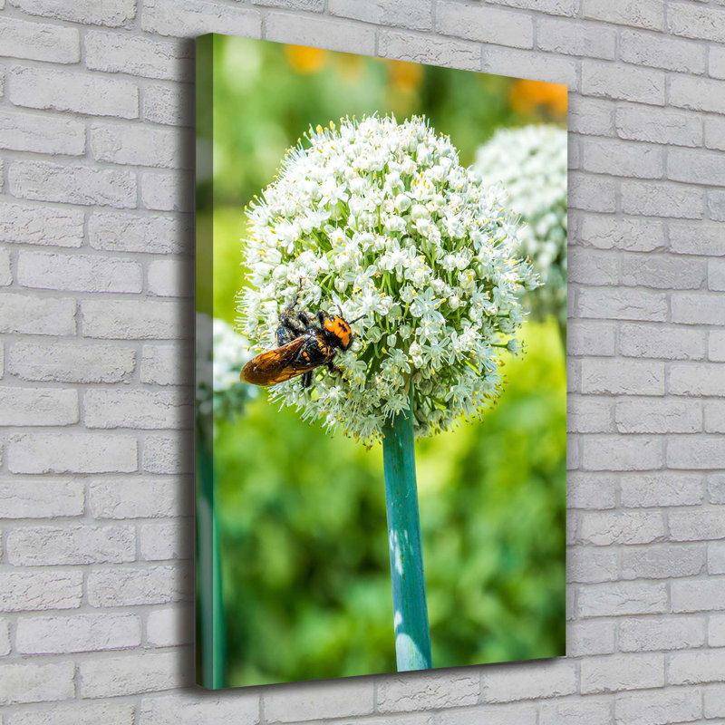 Garlic Flowers - Wrapped Canvas Print