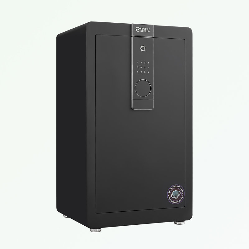 Safe Box with Biometric Recognition and Electronic Password Lock