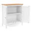 Zaha Solid Wood 2 - Door Standard Accent Cabinet