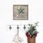 «Joy To The World Starfish»-1915083081