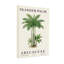 Plantes et fleurs Neander Palm Arecacées tropicales monocotylédones 4-6 m-1431171770