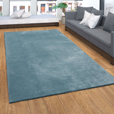 Cretien 100% Polyester Turquoise Outdoor Rug