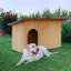 Wood Portable Dog House-88709283