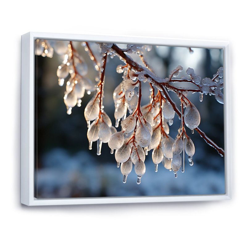 «Icy Tree In Winter I», reproduction d'art sur toile, Cadre flottant blanc, H 30 po x l 40 po x P 1,5 po