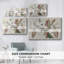 Amaryllis Varietals II-Gallery, toile tendue-1037544193