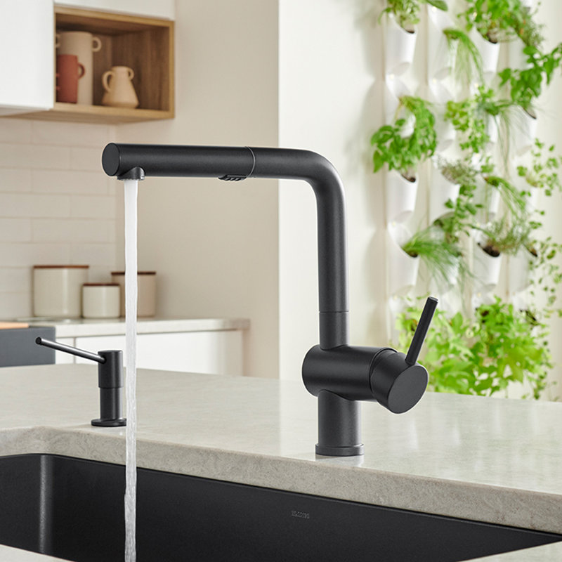 Linus Low Arc Pull-Out Dual-Spray Kitchen Faucet, Anthracite