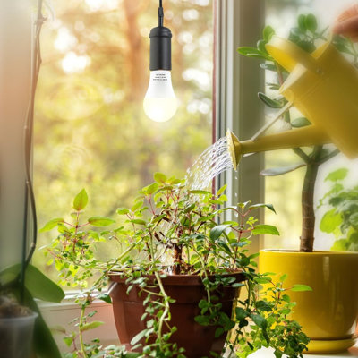 Ampoules de croissance pour lampes horticoles - 2