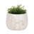 Stoneware Ceramic Planter with Textured Botanical Design.-1034251705