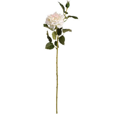 Arrangement