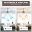 Ozelia Ceiling Fan with LED Lights-651814780-651814783
