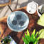 Breakfast Tray
