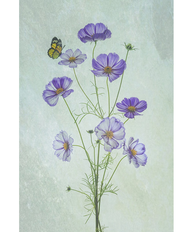 Wrapped Canvas Print, 76.2 cm H x 50.8 cm W