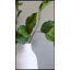 Artificial Salal Leaf Stem 23"