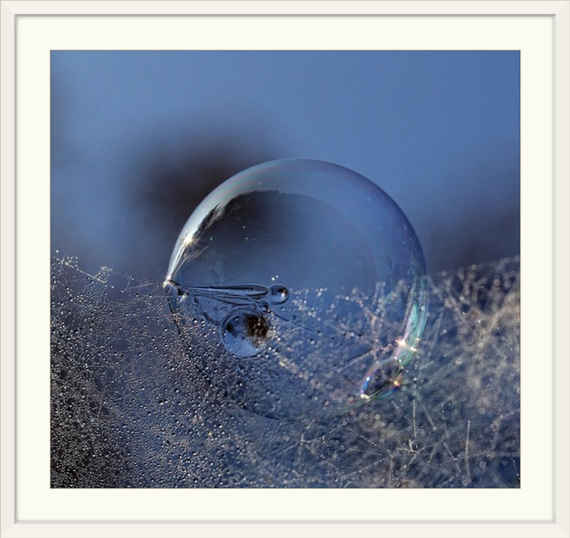 «Straub 'Bubble Morning» par Kent Mathiesen, reproduction de photo, H 24 po x l 24 po x P 1 po, Cadre blanc