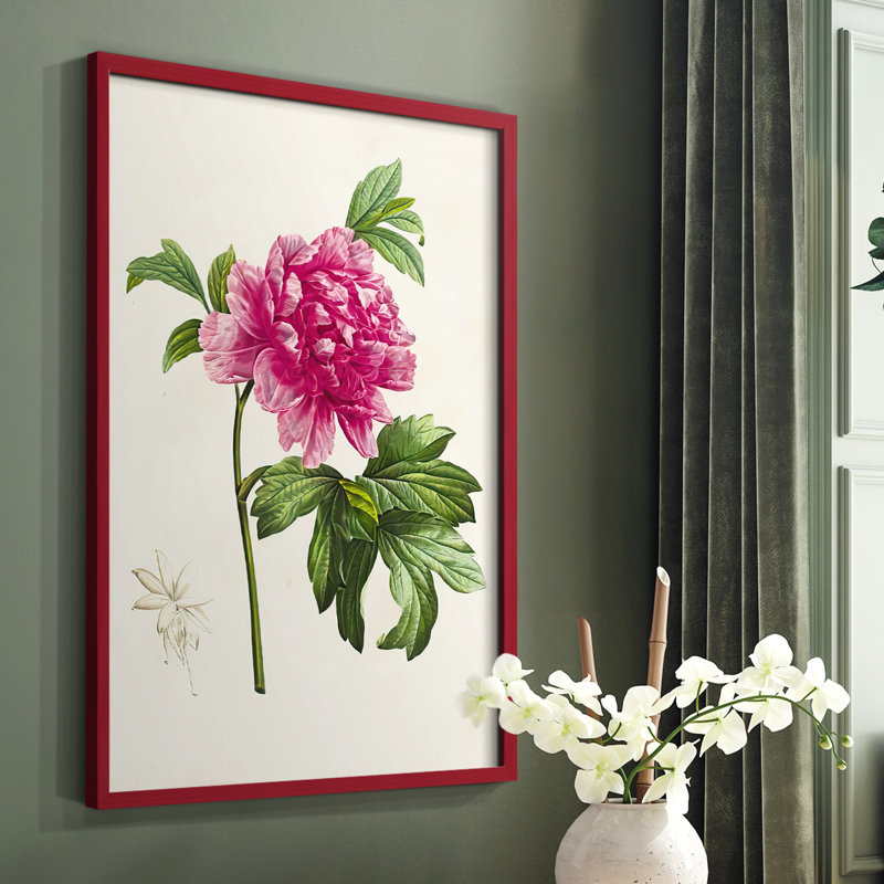 «Pretty Botanicals I», reproduction encadrée - bois massif, Rouge, H 10 po x l 8 po