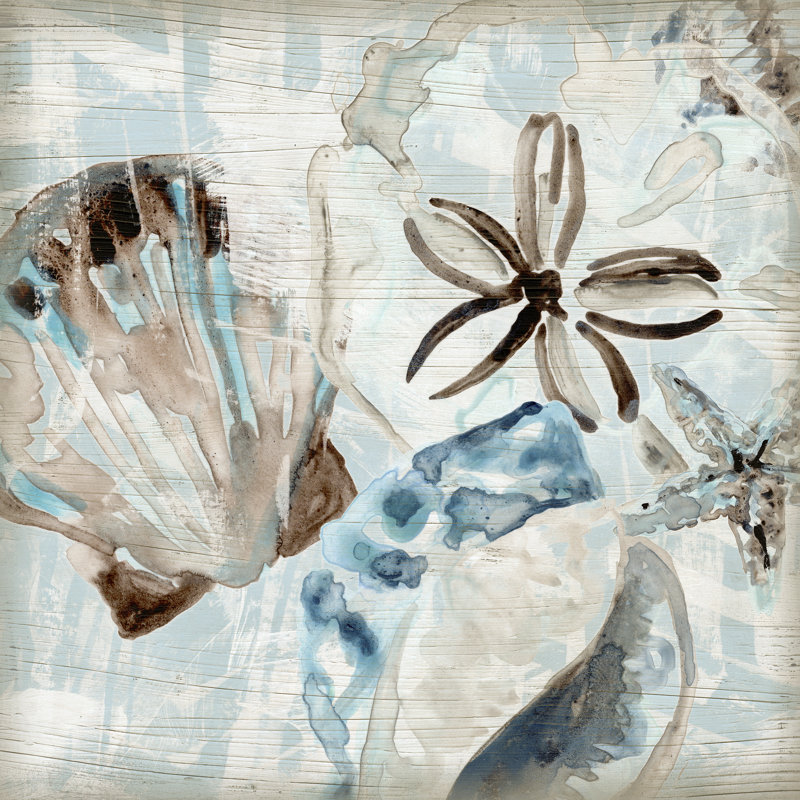 «Driftwood Shell Collage I on Canvas» par June Erica Vess, reproduction, H 36 po x l 36 po