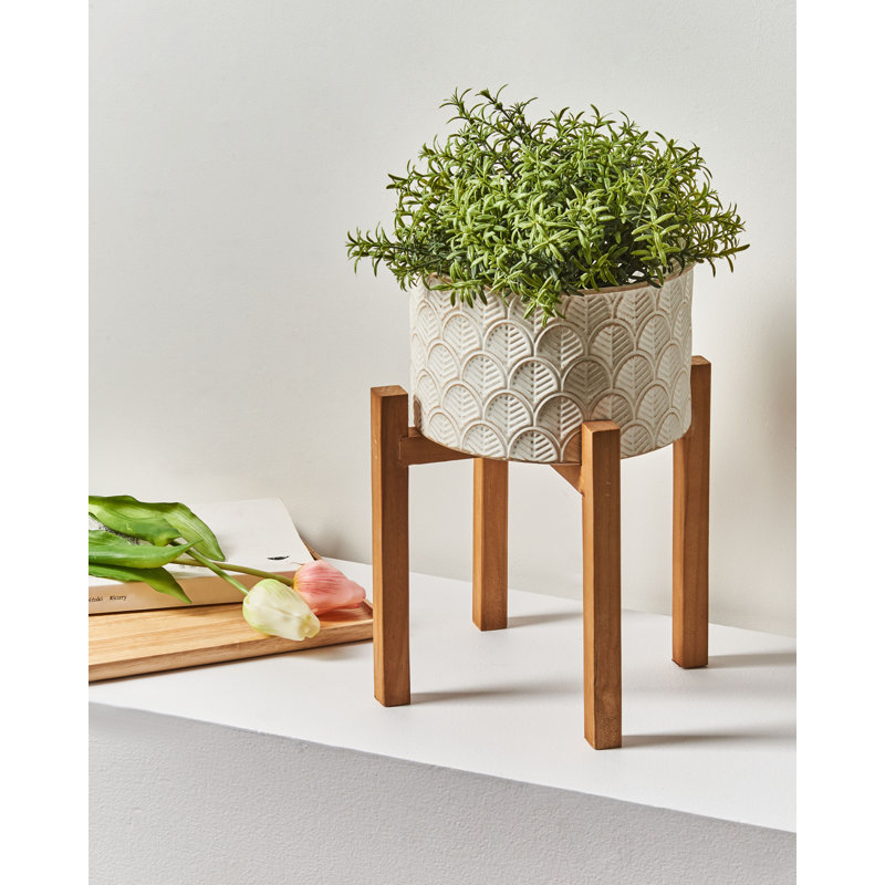 ROSEE Metal Elevated Planter