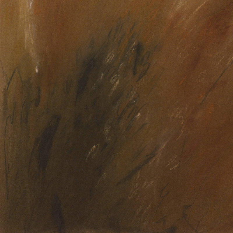 Black Bear Sighting By Katherine Hunsaker, W 40"x H 60"