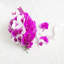 Bouquet de fleurs en strass scintillant-71645494