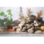 Landscaping Rocks-97758742