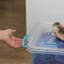 Rebrilliant Plastic Decorative Bin-2136439721
