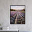 Lavender Fields Forever Print-49510721