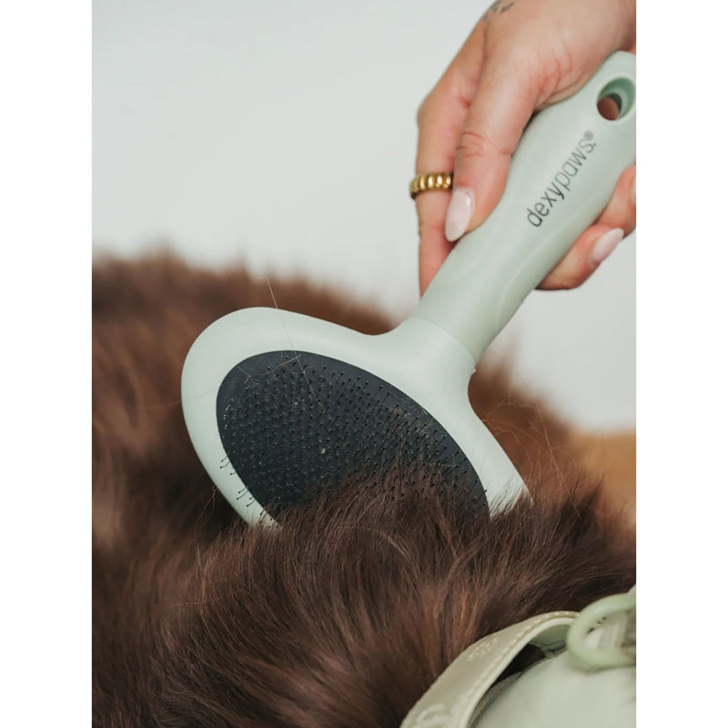 Pet Slicker Brush: Large