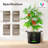 Heavy Duty Thickened Plant Grow Bags-53420859