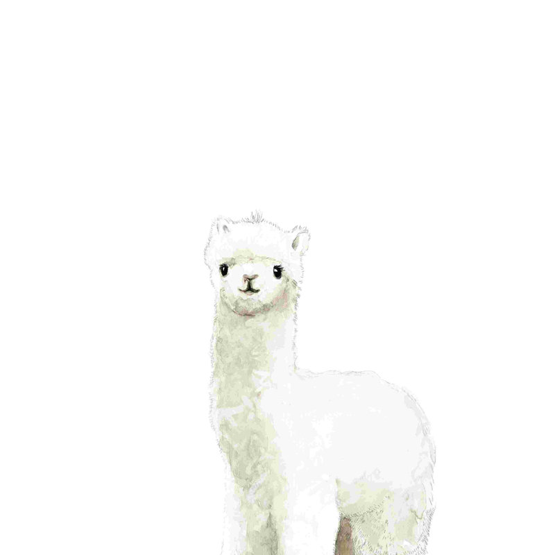 «Baby Alpaca Watercolor», reproduction sur toile tendue, H 18 po x l 12 po