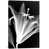 Wrapped Canvas selected