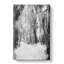 Forest Blur in Abstract - Wrapped Canvas-55315055