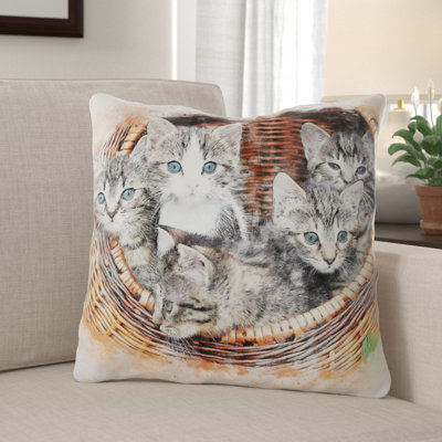 Housse et insert de coussin Drennon