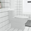 Dual Flush One Piece Toilet
