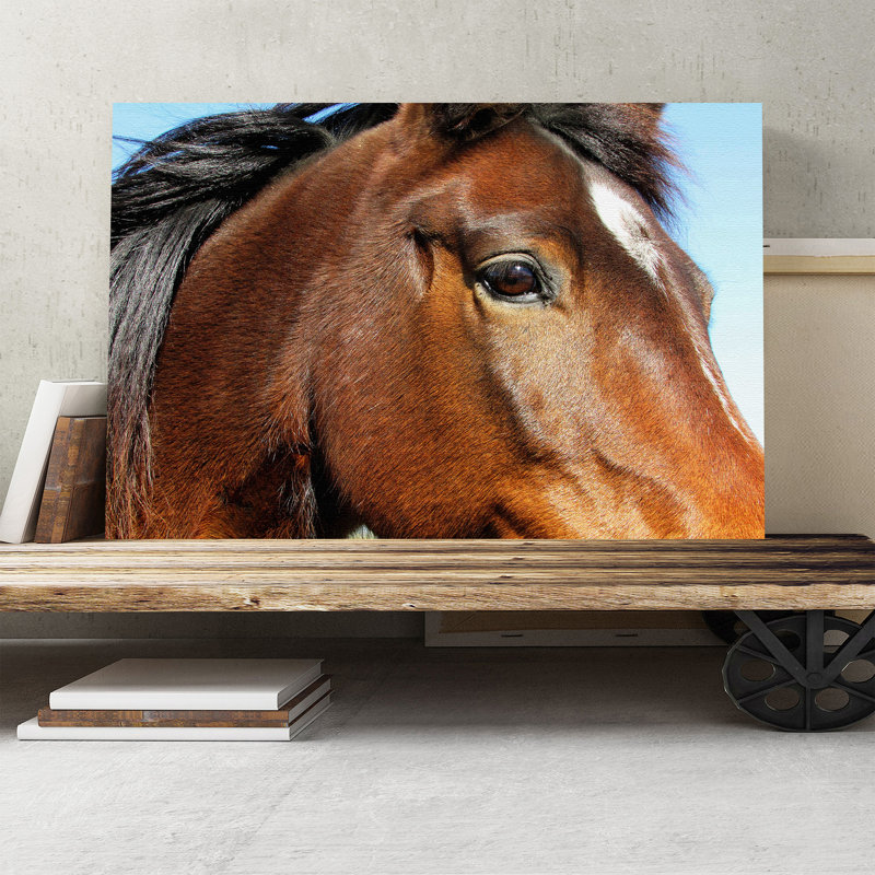 Wrapped Canvas Print, 35cm H x 50cm W