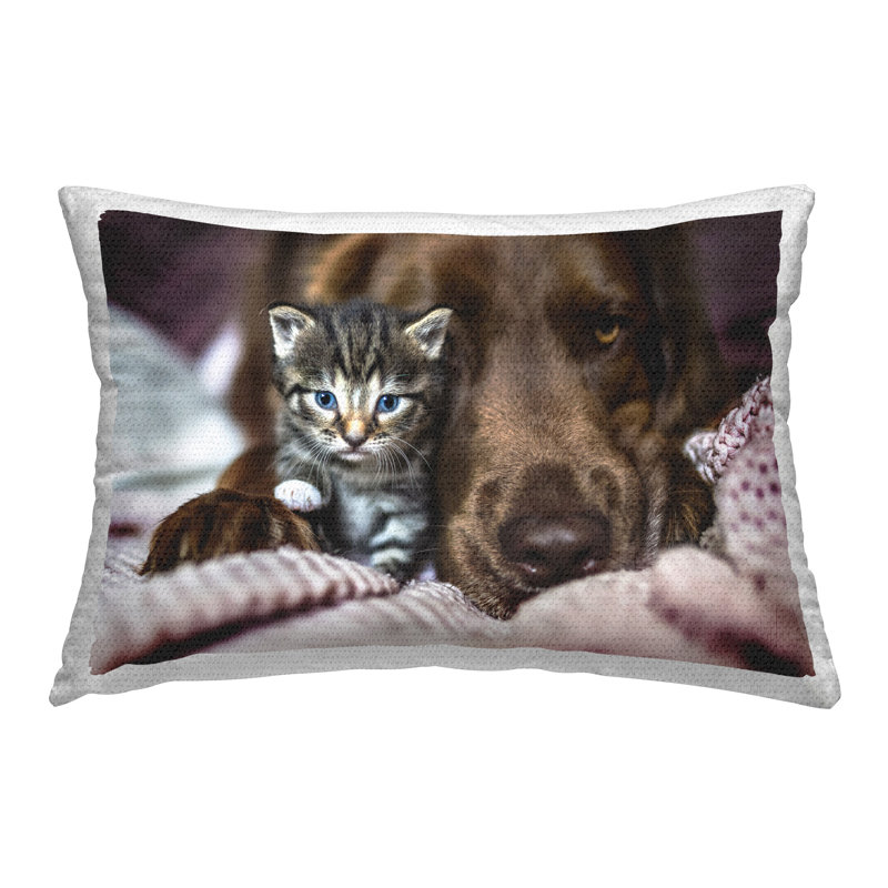 Coussin extérieur Kitten & Dog Friendship par Natalie Grosse